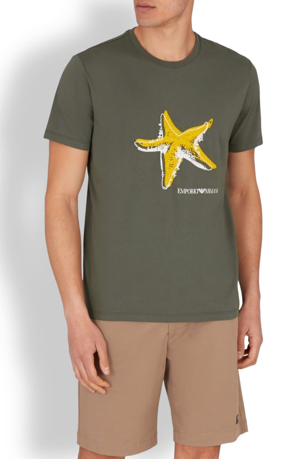 Мужская футболка из хлопка Emporio Armani EM000574 AF12347