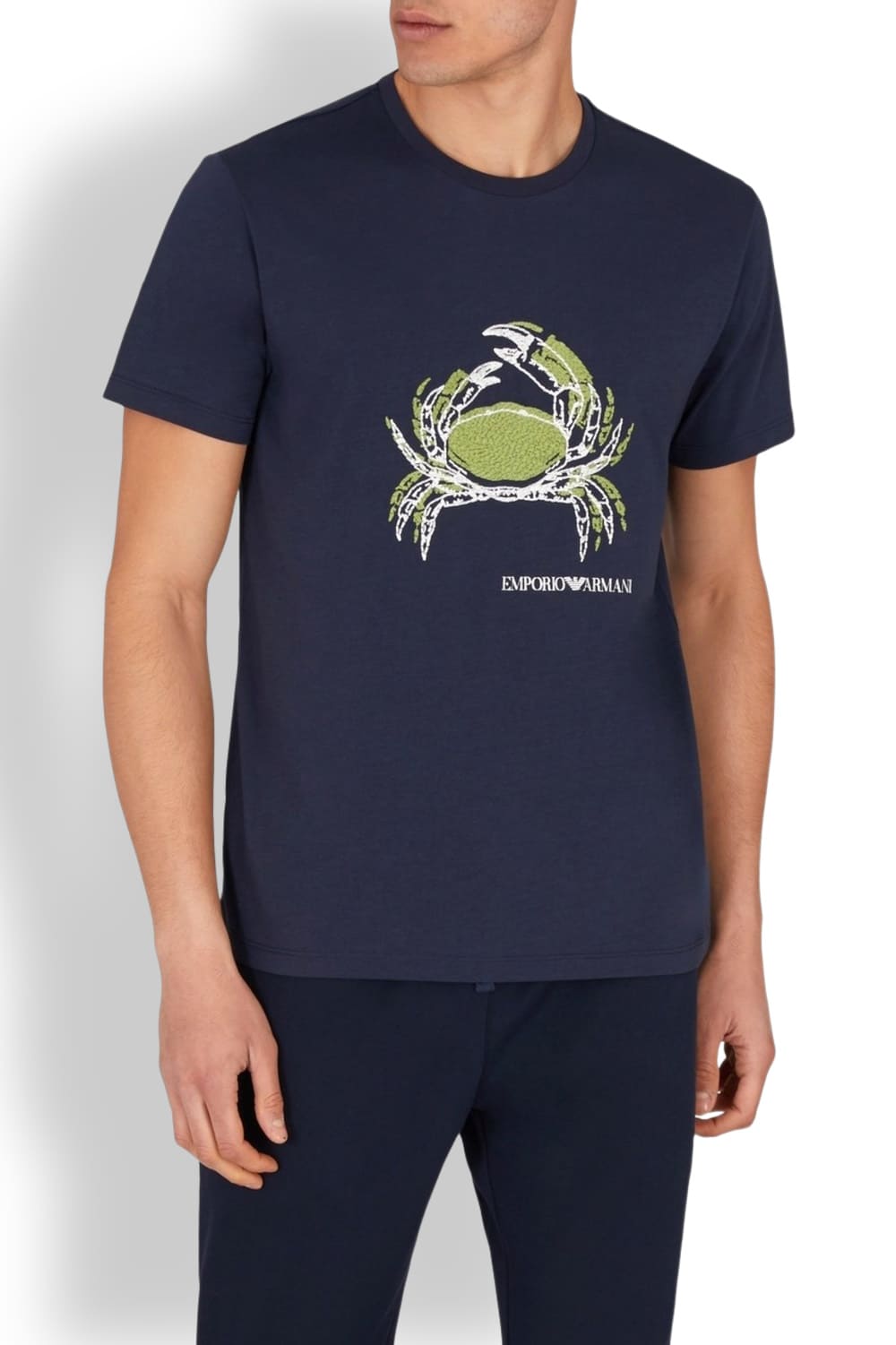 Мужская футболка из хлопка Emporio Armani EM000574 AF12347