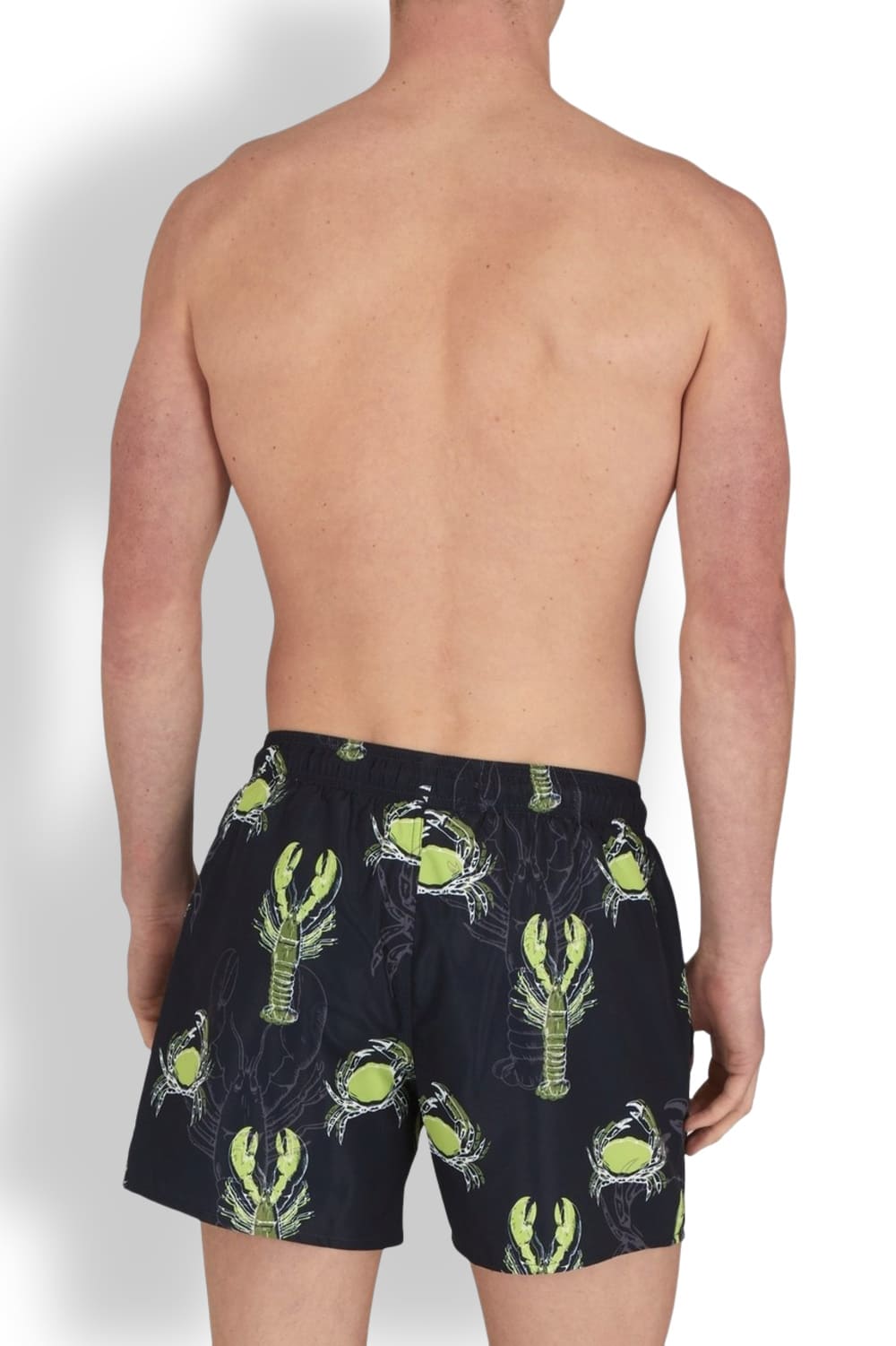 Мужские купальные шорты Emporio Armani EM000583 AF12347