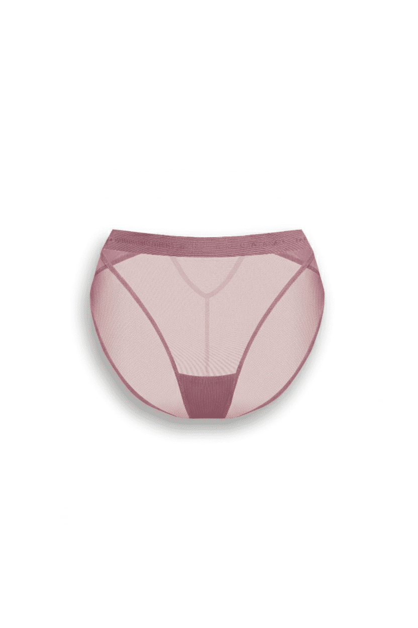 Трусы слипы Le Journal Intime LIBERTY Downtown