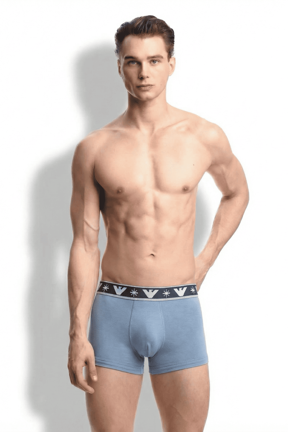 Мужские трусы боксеры с рождественской тематикой (2шт.) Emporio Armani EM000253 AF15009