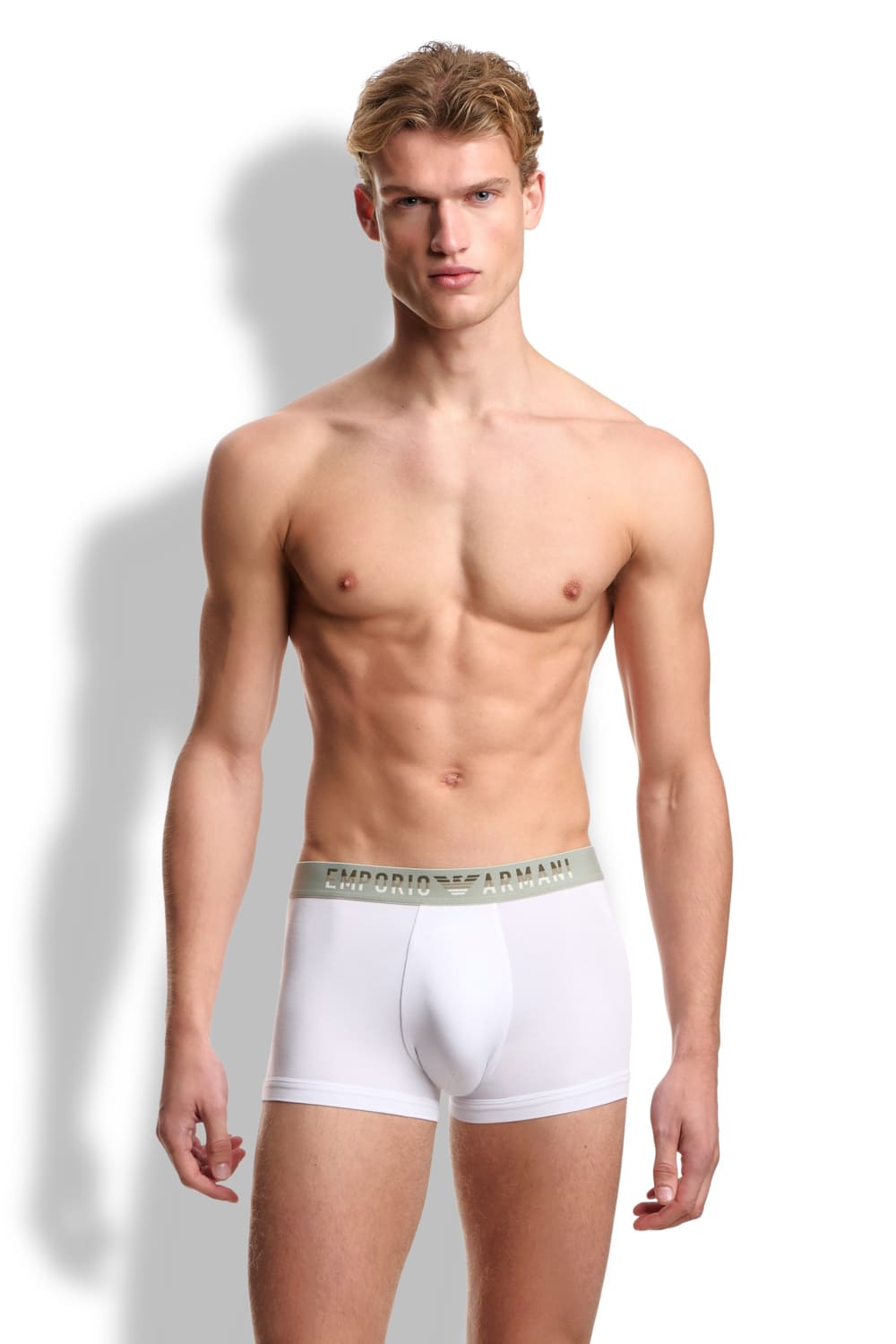 Мужские трусы боксеры из модала Emporio Armani EM000231 AF18894
