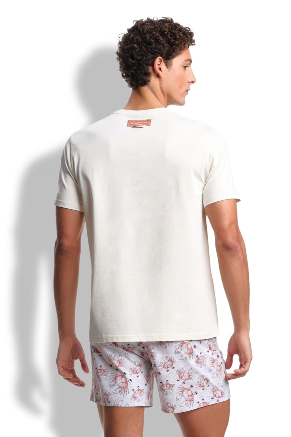 Мужская футболка Emporio Armani EM000574 AF20447