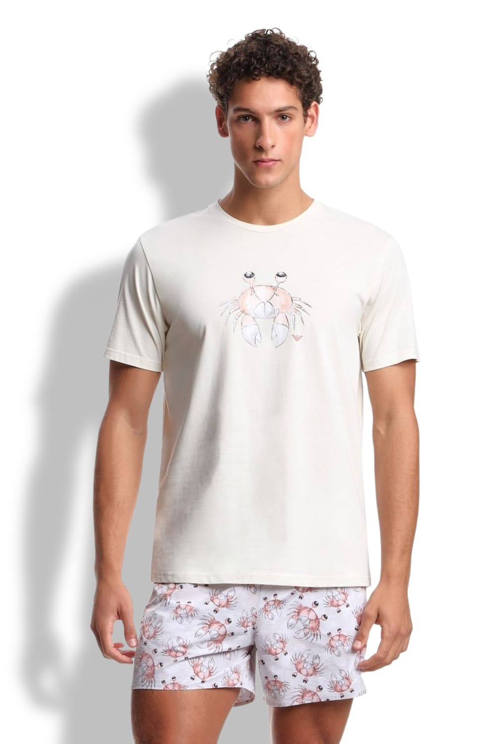 Мужская футболка Emporio Armani EM000574 AF20447