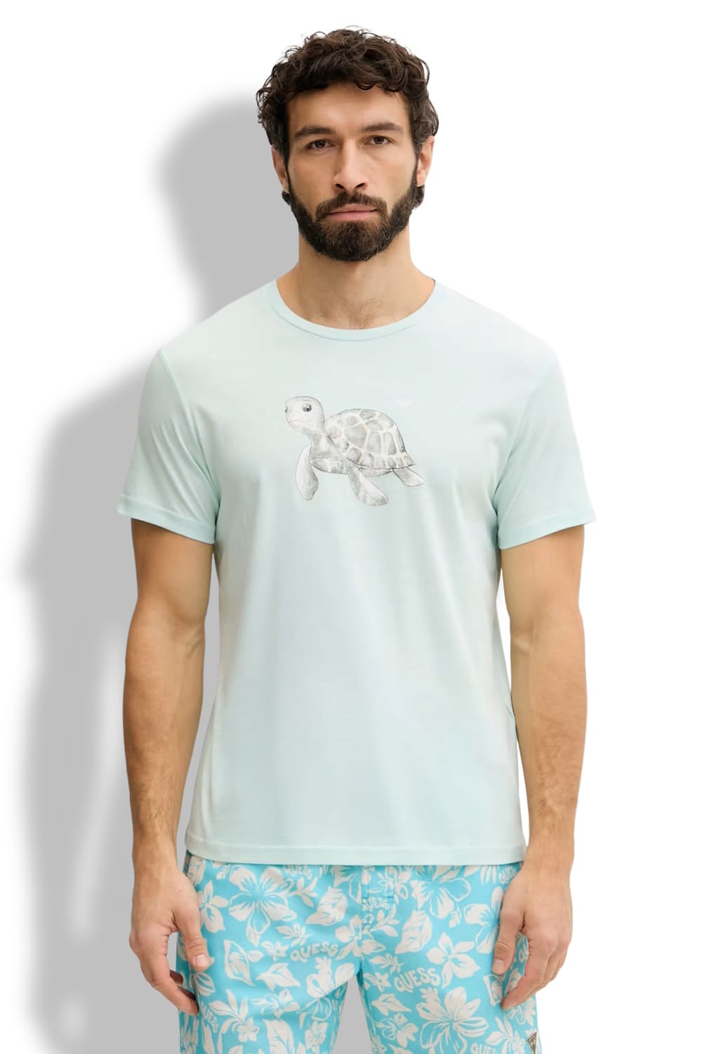 Мужская футболка Emporio Armani EM000574 AF20447