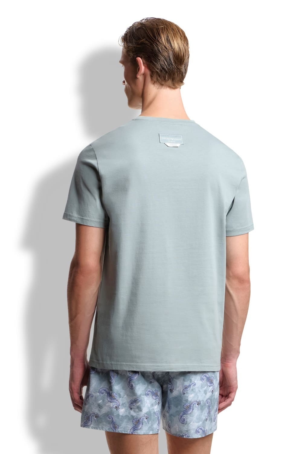 Мужская футболка Emporio Armani EM000574 AF20447