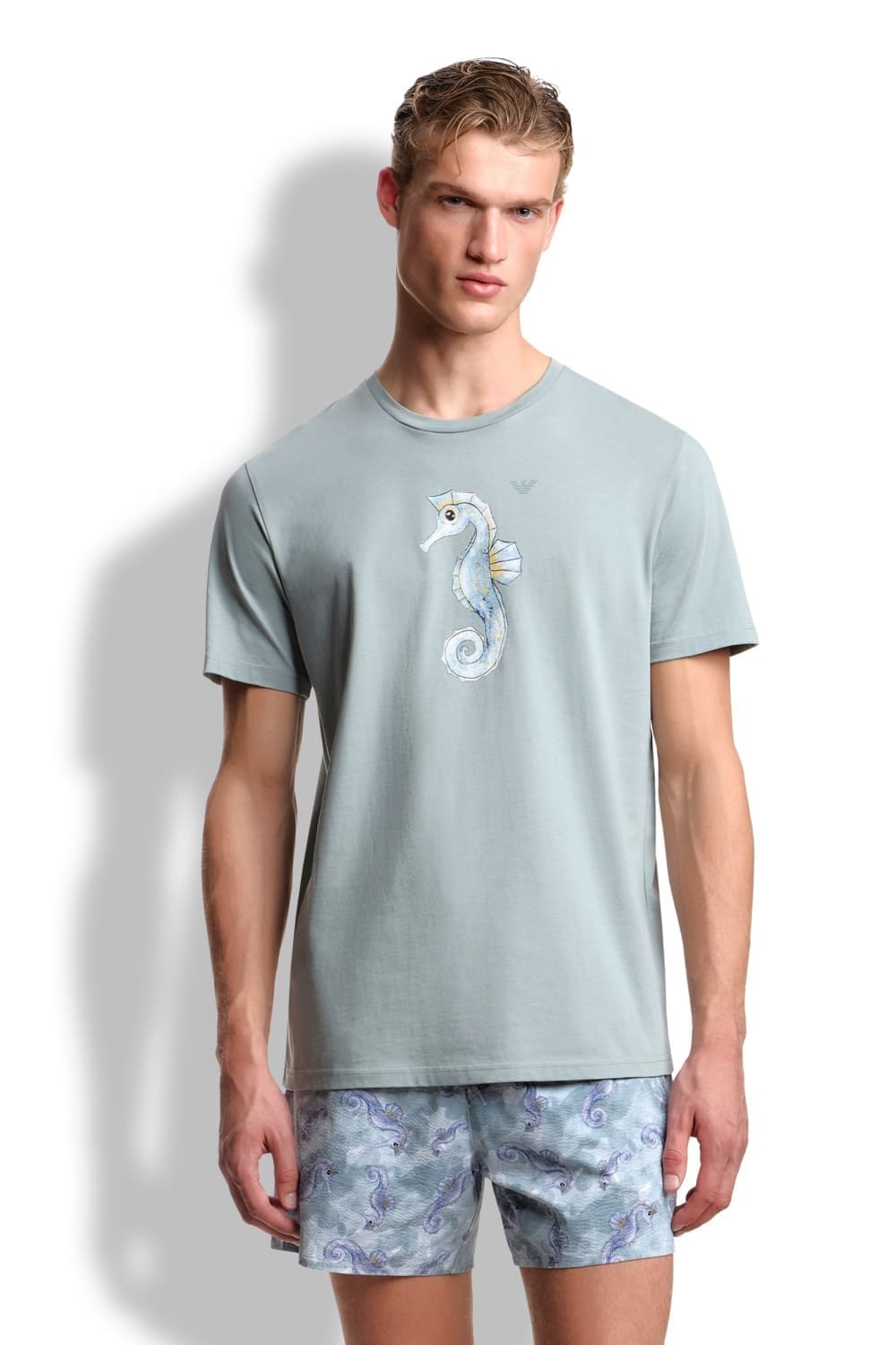 Мужская футболка Emporio Armani EM000574 AF20447