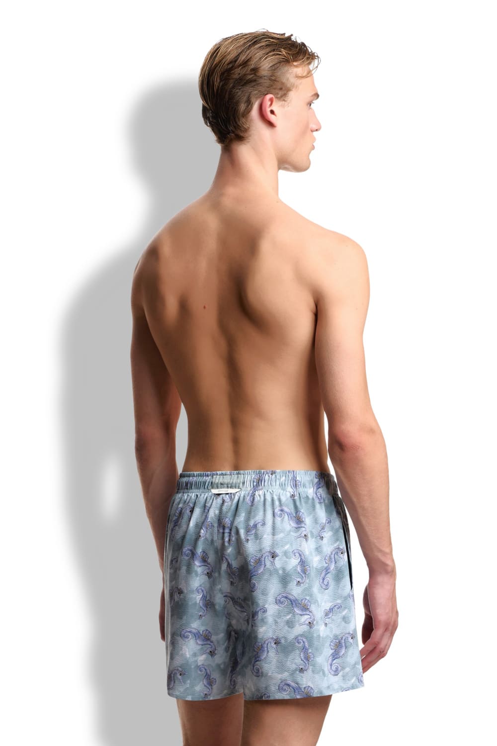 Мужские купальные шорты Emporio Armani EM000583 AF20447