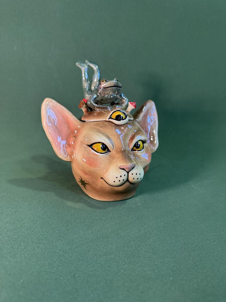 Котобанка «волшебные друзья»