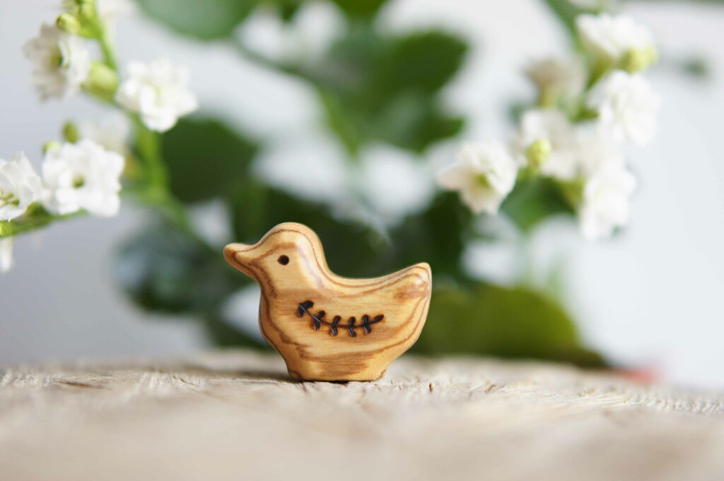 Wooden duckling