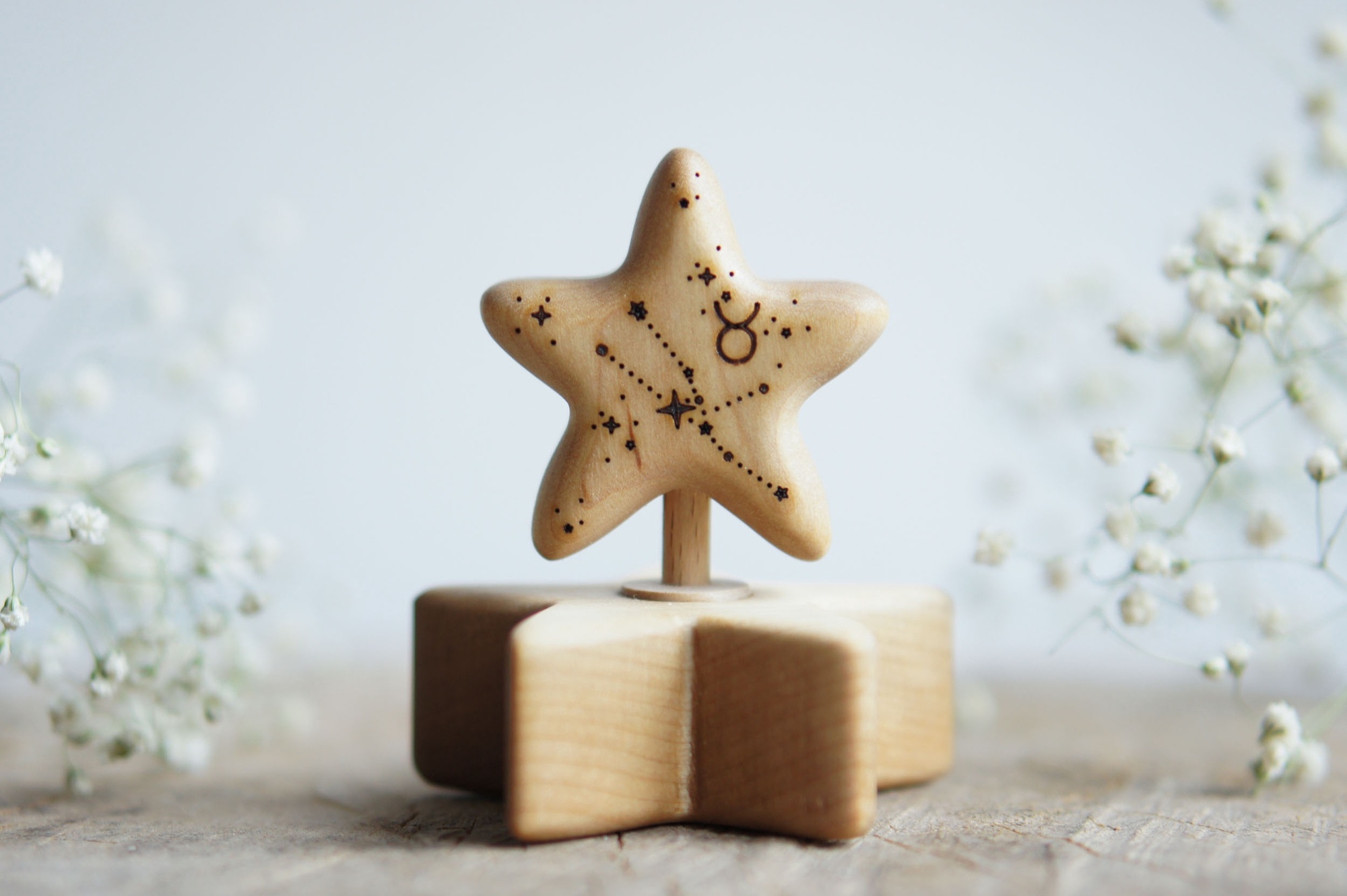 Wooden star zodiac Taurus