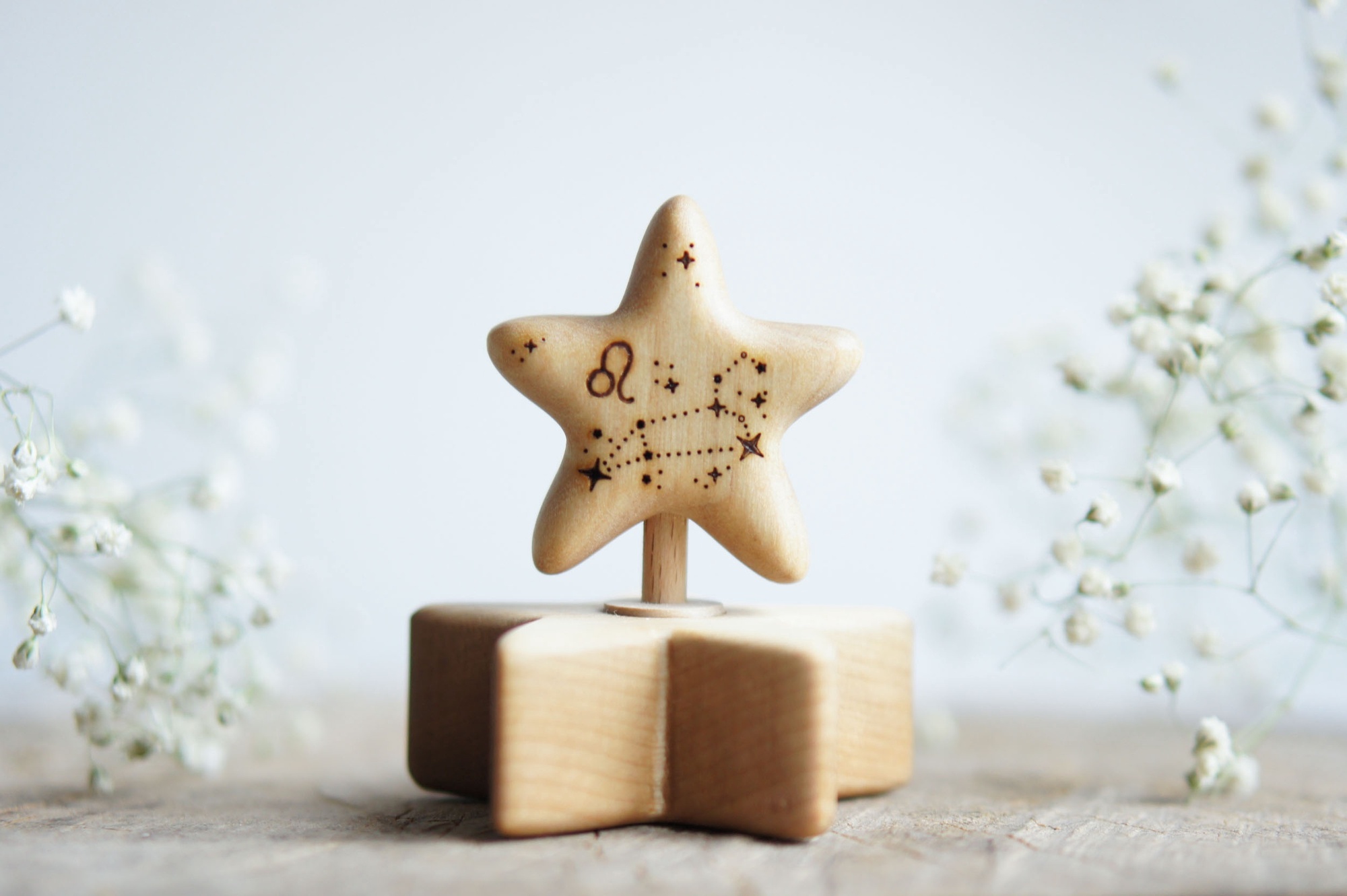 Wooden star zodiac Leo