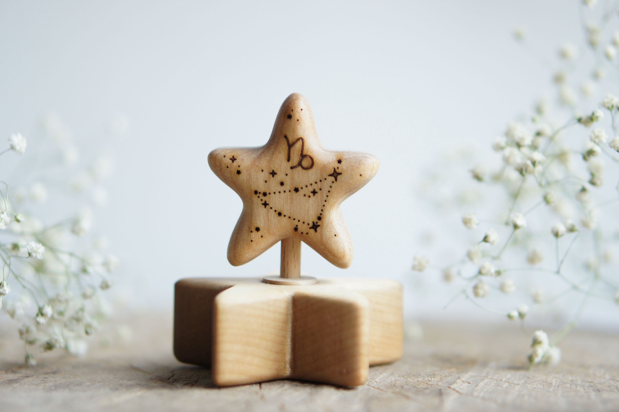 Wooden star zodiac Capricorn