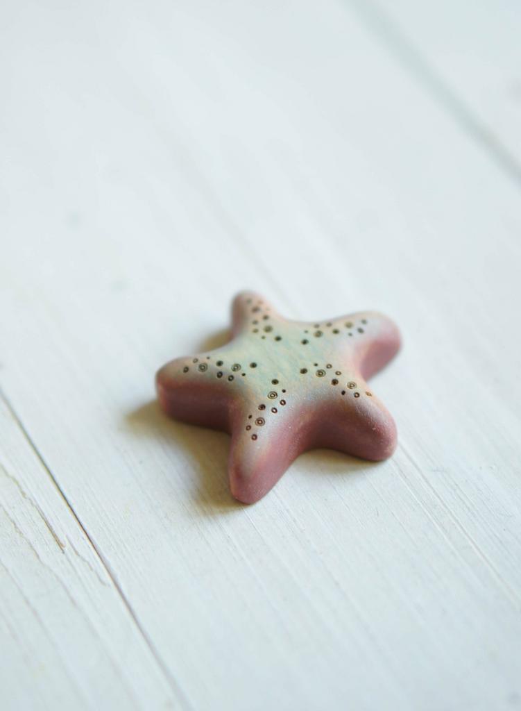 Starfish wooden toy 1