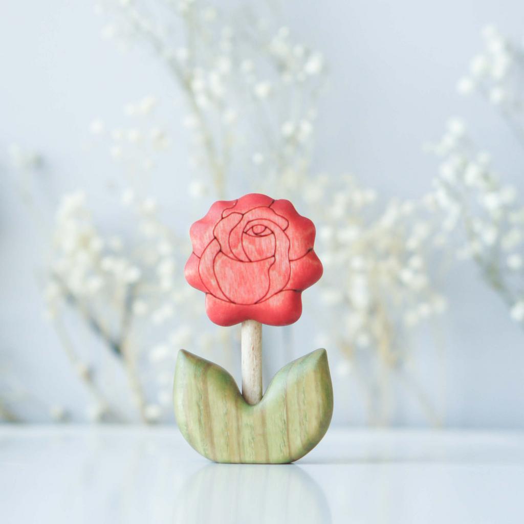 Rose flower red
