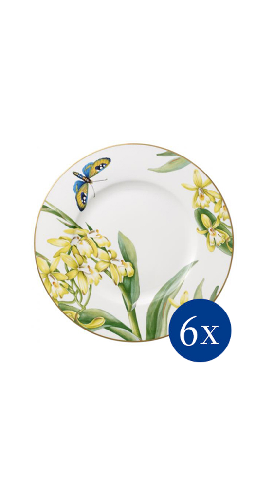 Набор салатных тарелок (6шт) 22 см Villeroy & Boch Amazonia Anmut