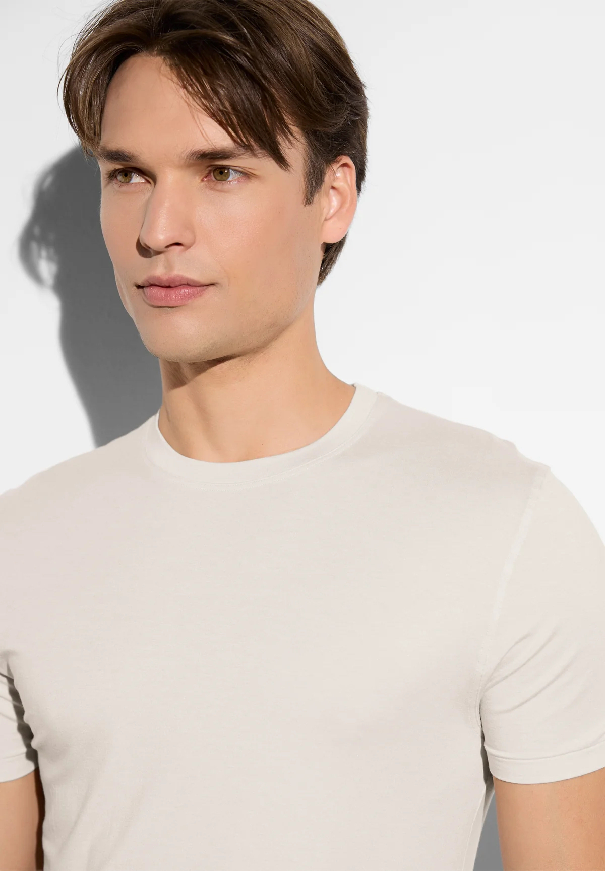 Мужская футболка, бренд: Циммерли (Zimmerli)