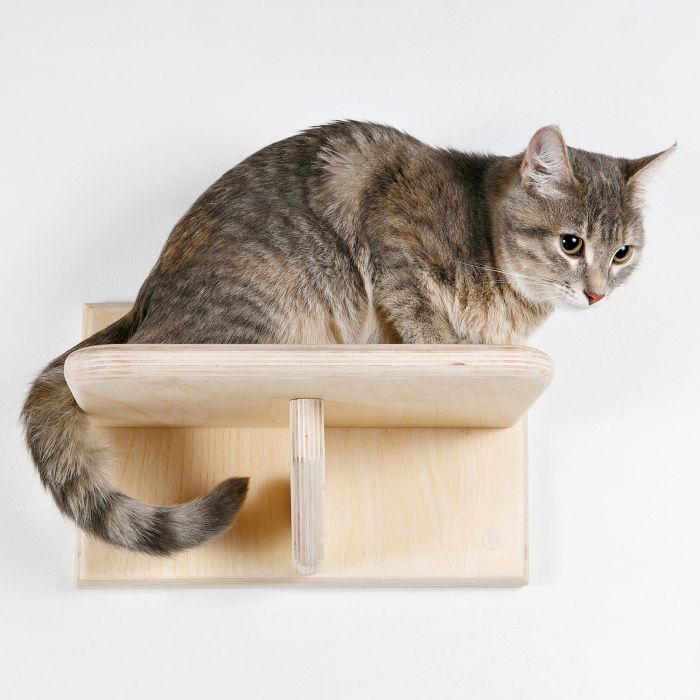 Полочка ступенька (арт. PSFKDN01)