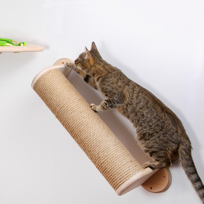 Когтеточка (арт. 30455424)