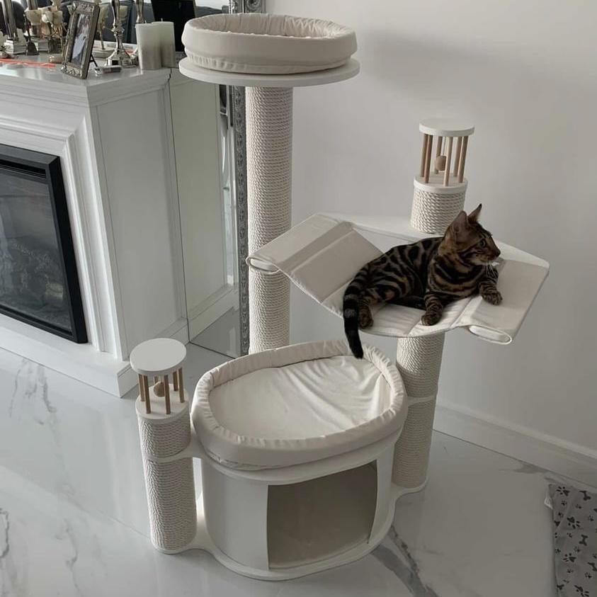 Кошачий комплекс белого цвета
