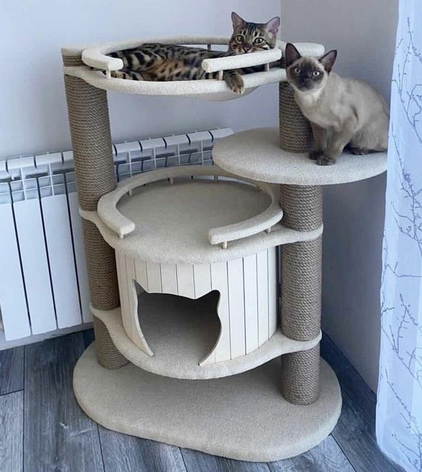 Кошачий комплекс с бортиком и гамаком - джутовый канат