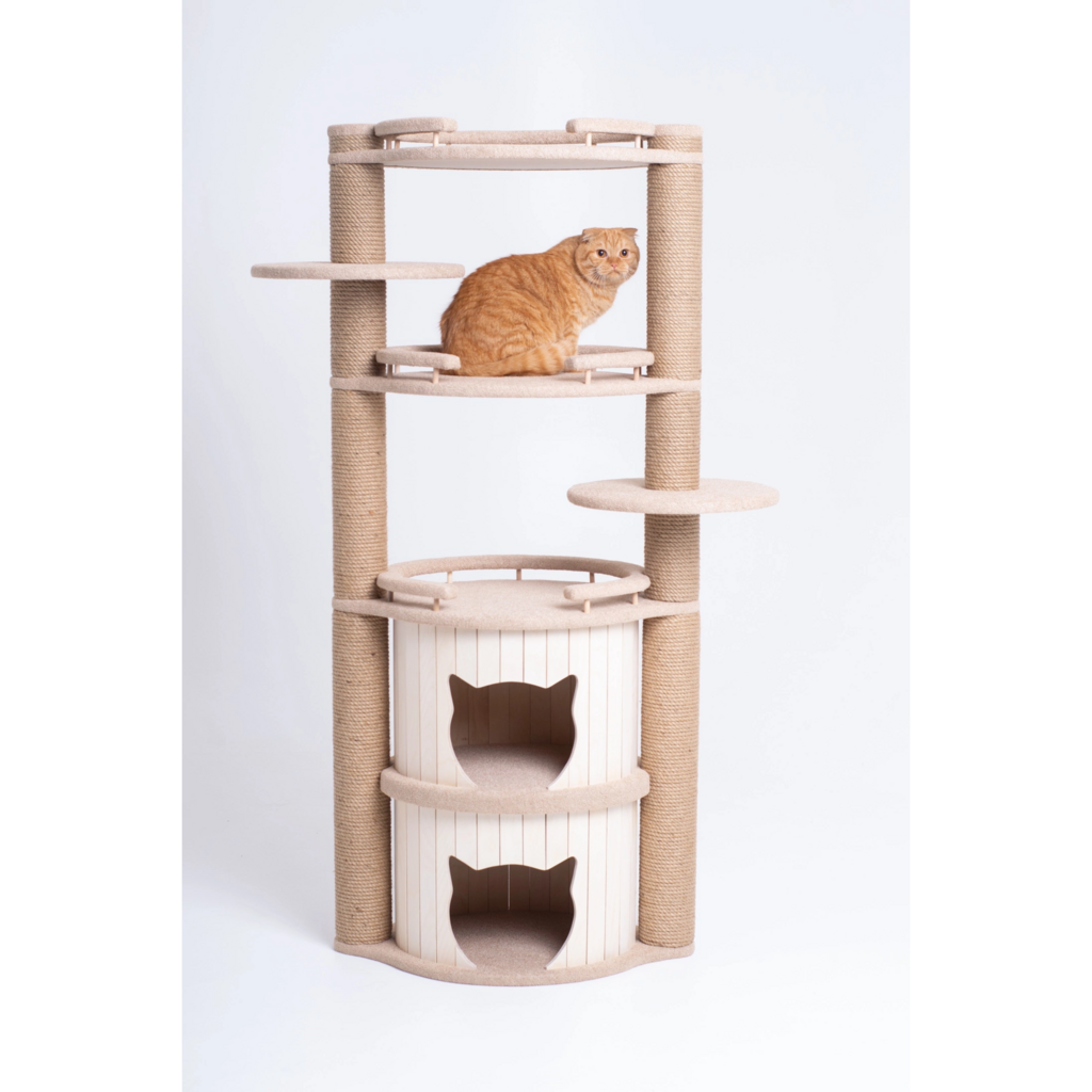 Котик сидит на игровом комплексе