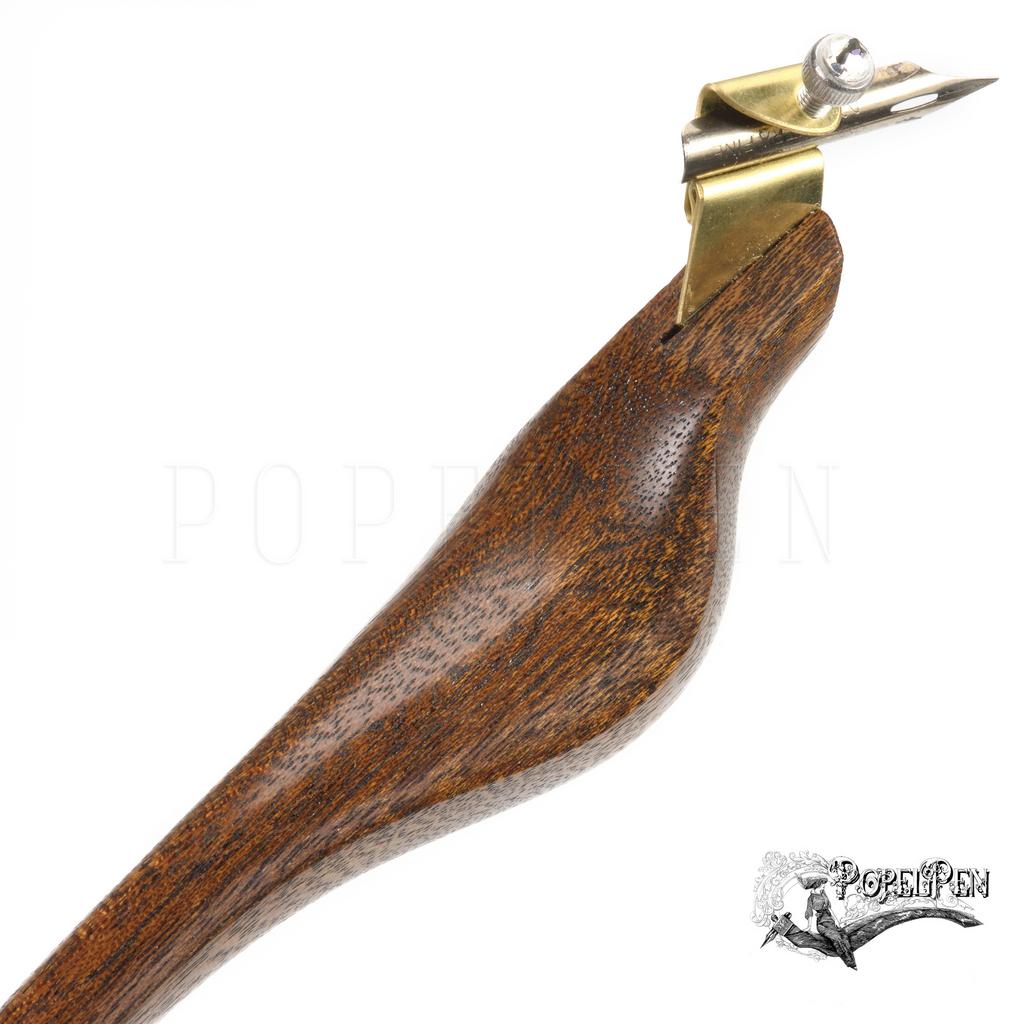 Abyssinian 002 teen size