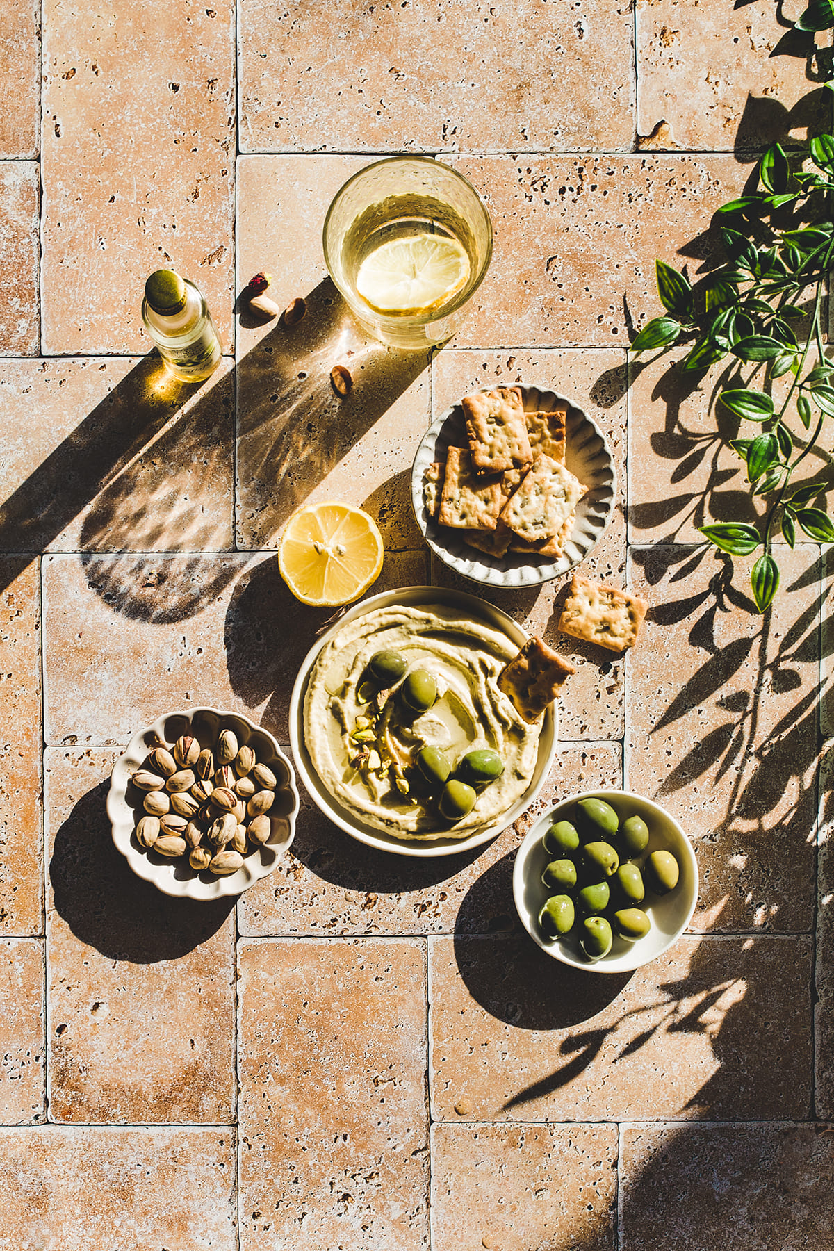 Rolled plastic backdrop "Aragon" B004