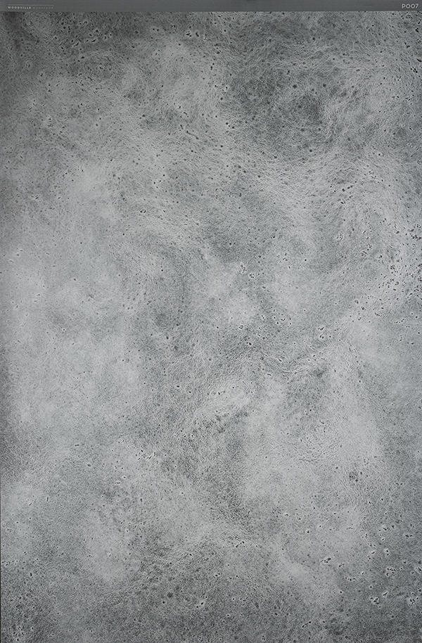 Rolled plastic backdrop "Platte" P007