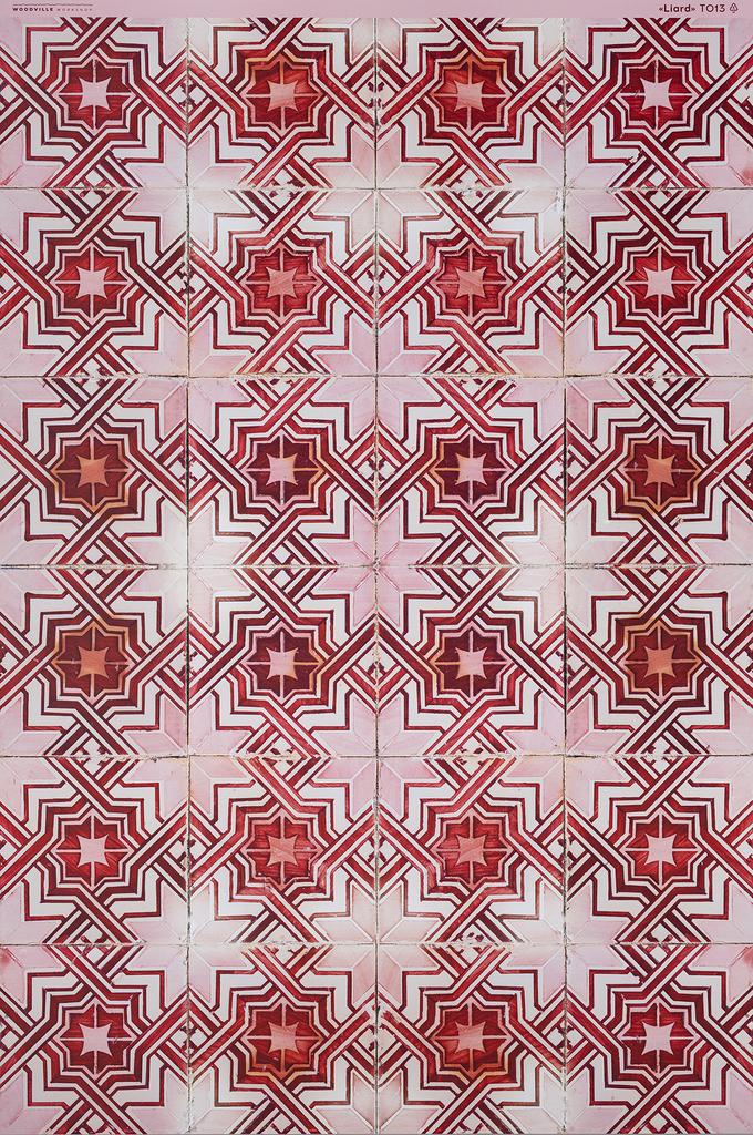 Rolled plastic backdrop "Liard" T013