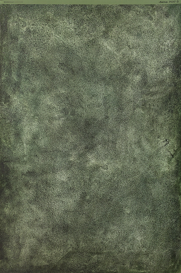 Rolled plastic backdrop "Seine" P017