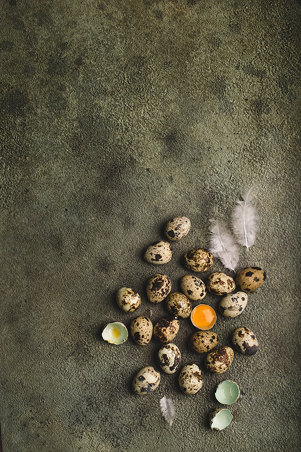 Rolled plastic backdrop "Hood" P020