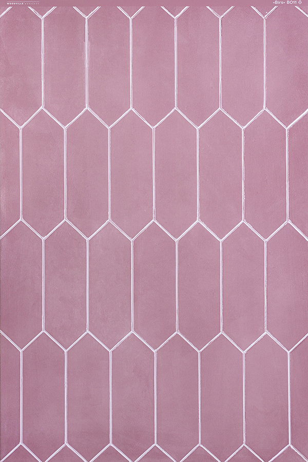 Rolled plastic backdrop "Birs" B011