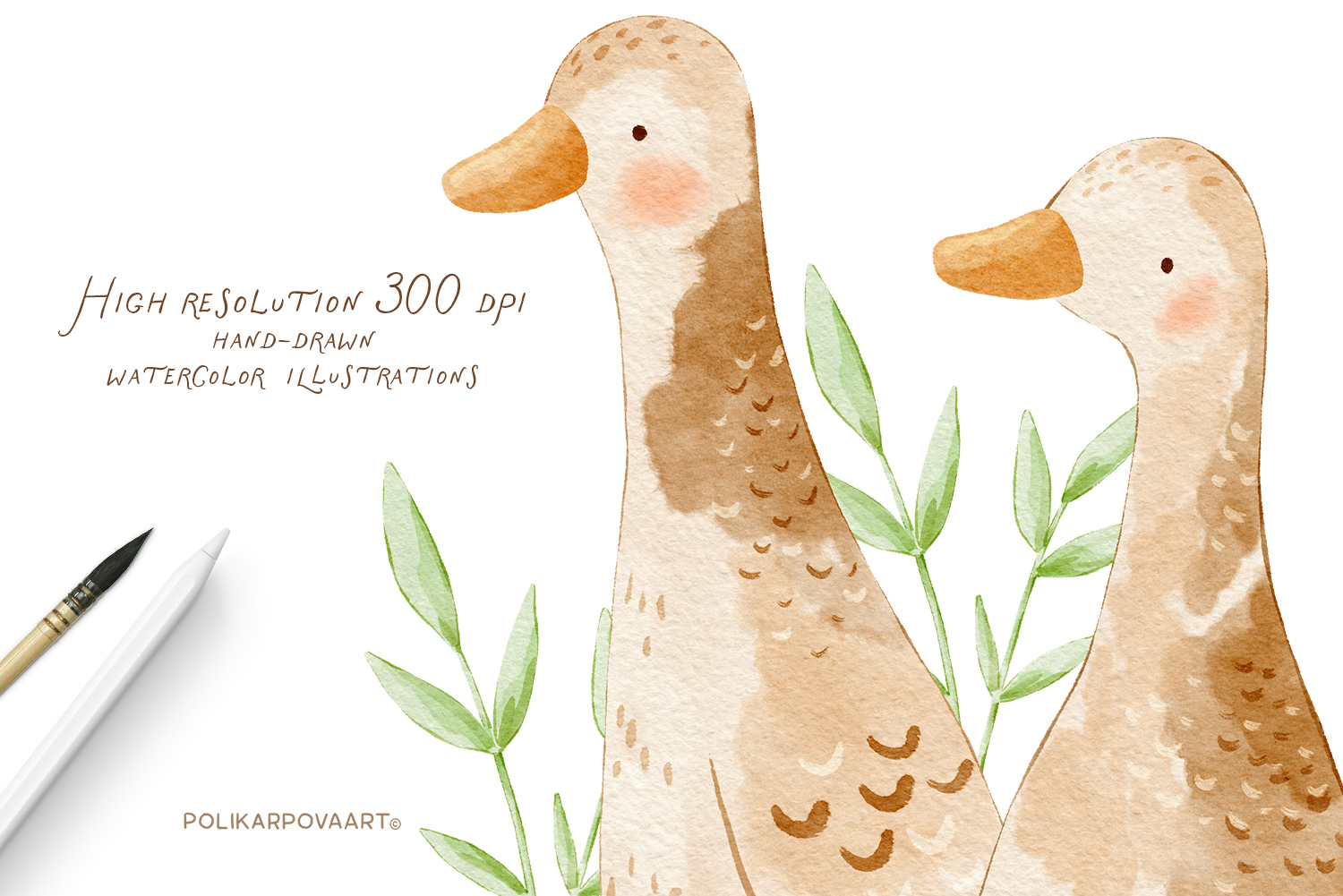 Collection "Summer in the countryside" - watercolor illustrations, compositions, posters and seamless patterns