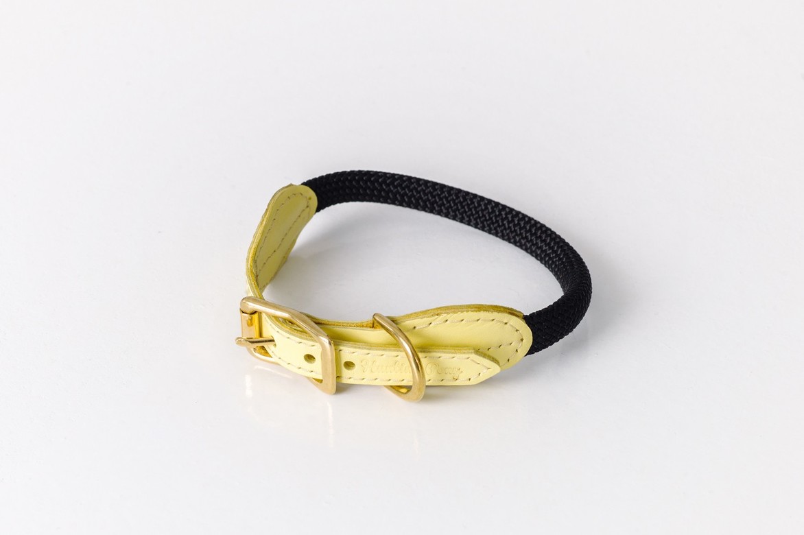 Ошейник  нежно-желтого цвета