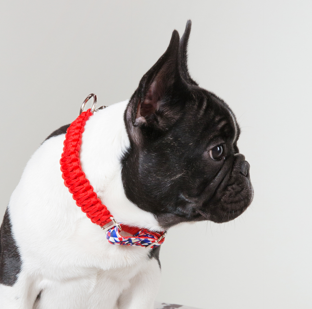 Ошейник "Freesize" красный