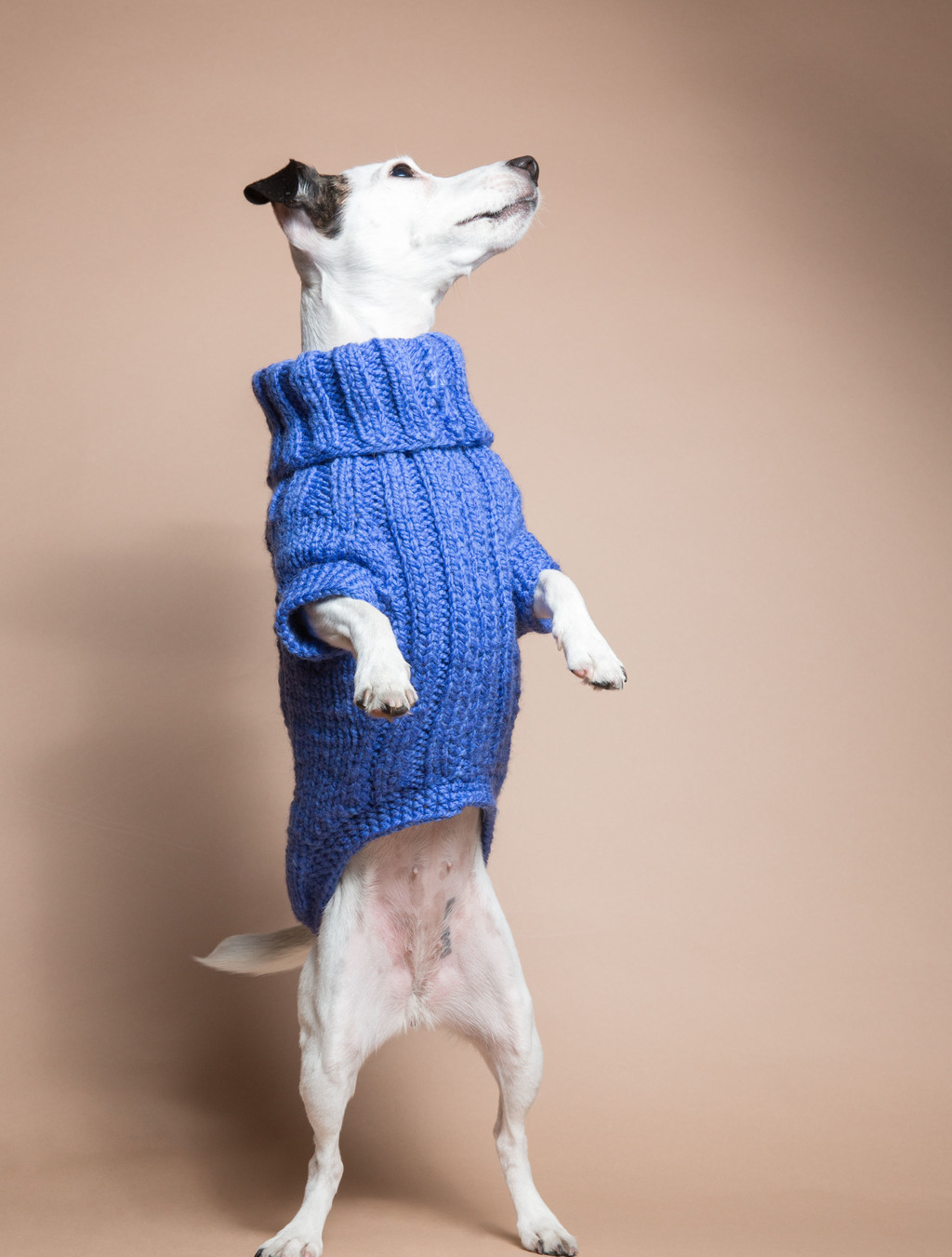 Свитер Голубой V823