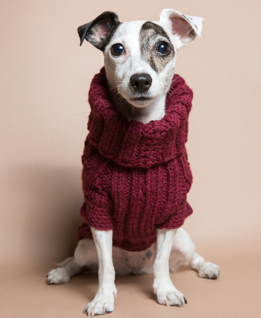 Свитер Бордо V823