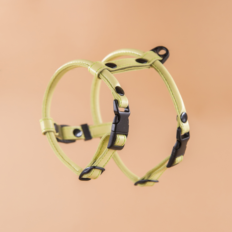 Кожаная шлейка круглого сечения для Шпица (померанского и немецкого) Лайм