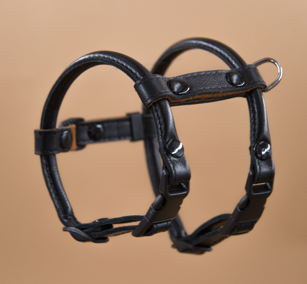 Кожаная шлейка круглого сечения для Шпица (померанского и немецкого) Черная