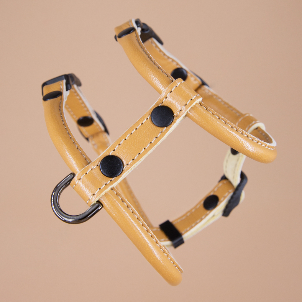 Кожаная шлейка круглого сечения для Шпица (померанского и немецкого) Охра
