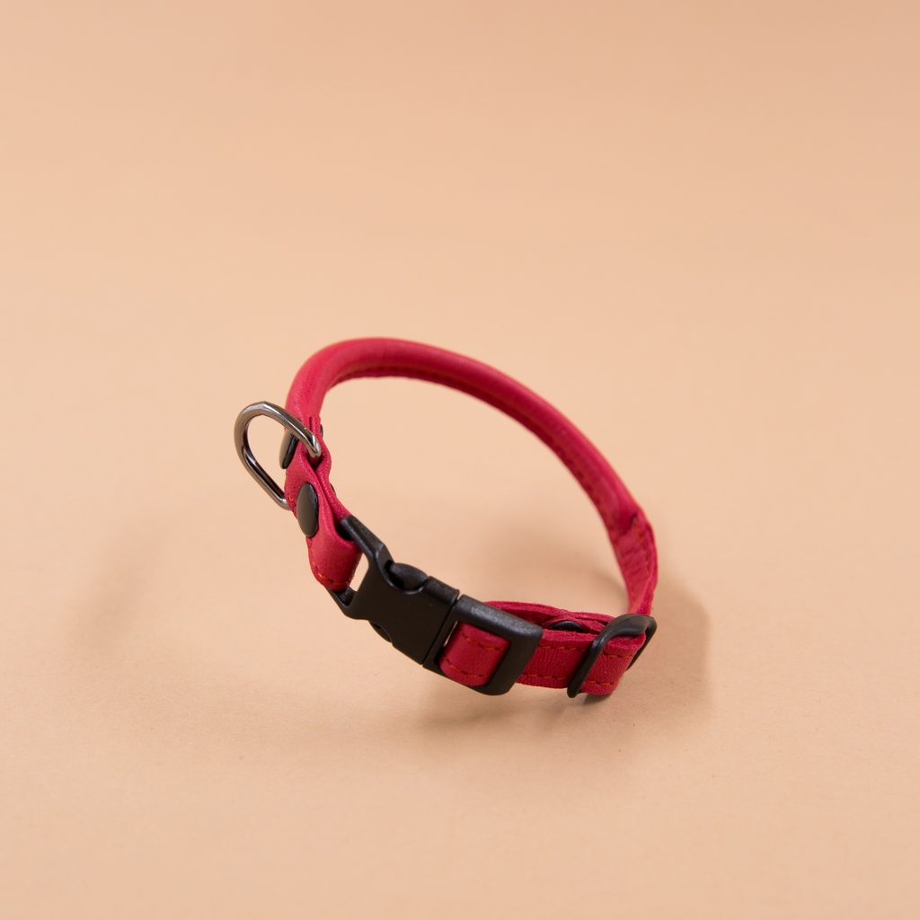 Кожаный ошейник  круглого сечения Алый