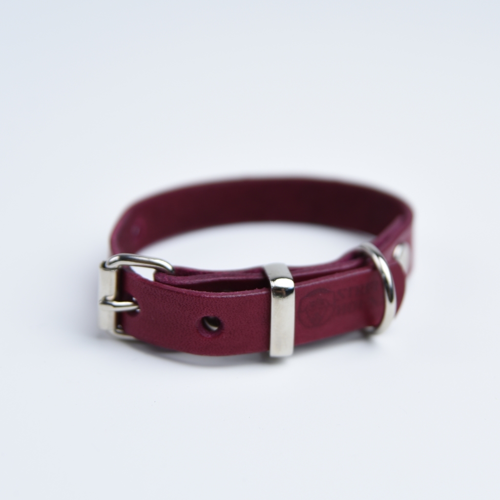 Ошейник сливовый