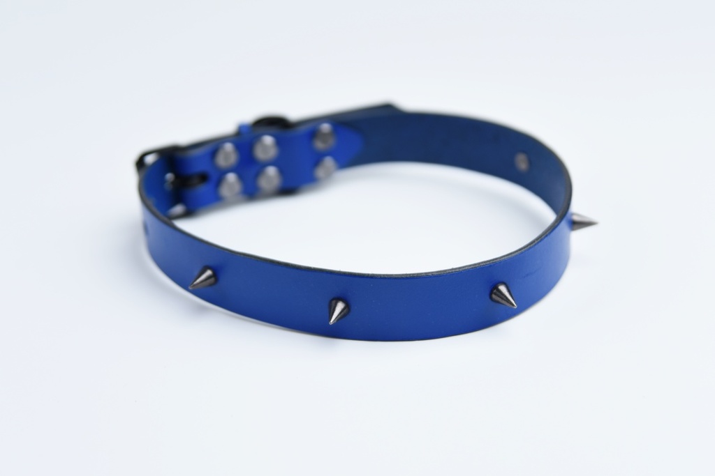 Ошейник синий с шипами