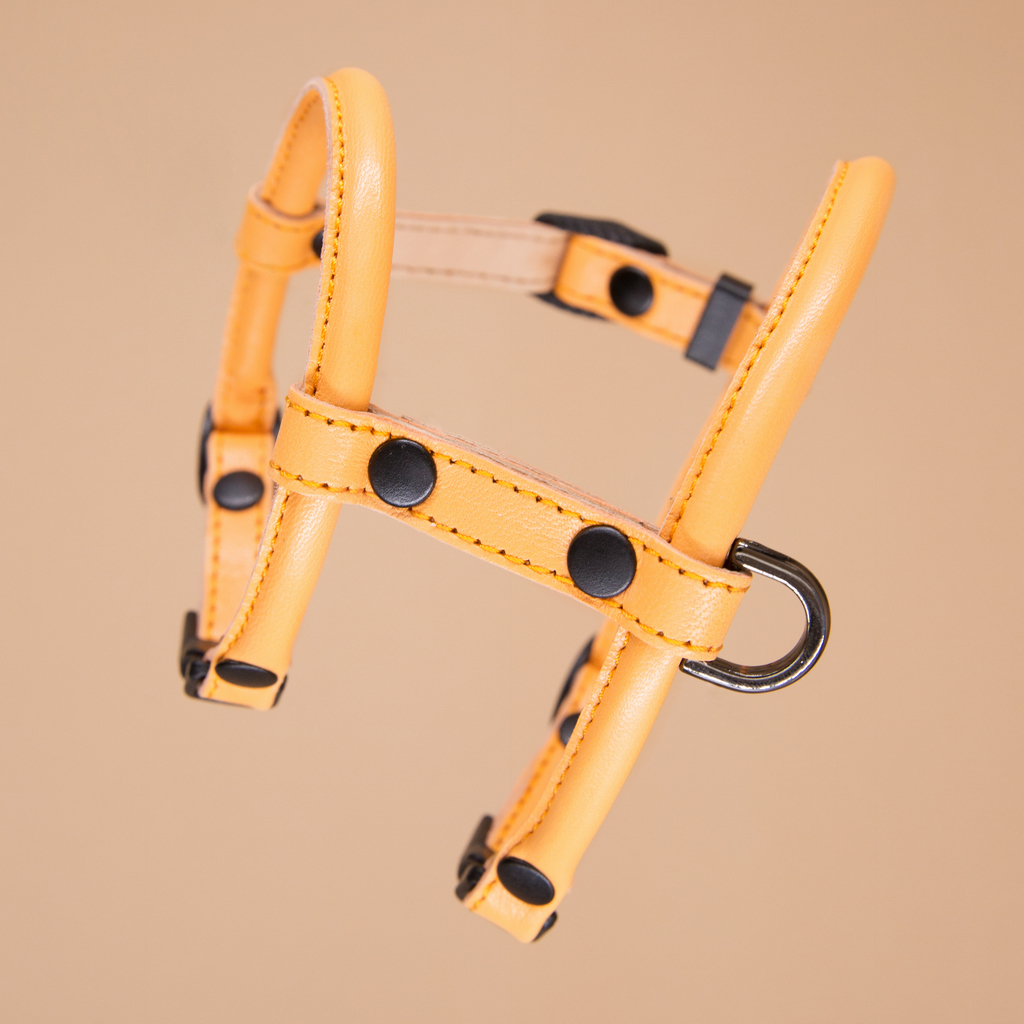 Кожаная шлейка круглого сечения для Шпица (померанского и немецкого) Персик