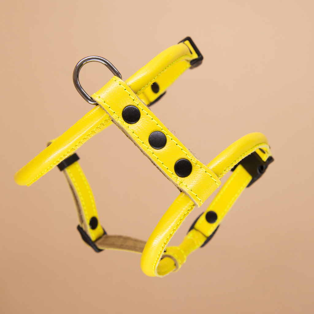 Кожаная шлейка круглого сечения для Шпица (померанского и немецкого) Лимон