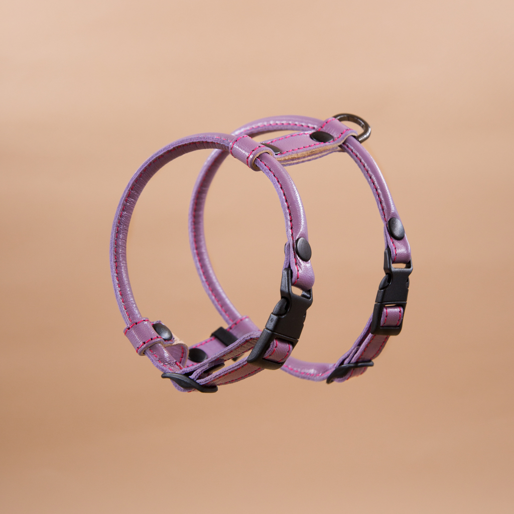 Кожаная шлейка круглого сечения для Шпица (померанского и немецкого) Лаванда