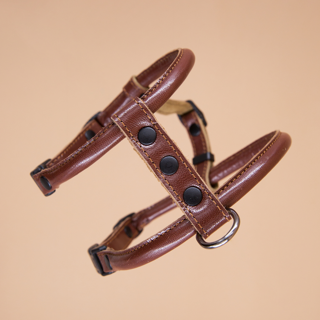 Кожаная шлейка круглого сечения для Шпица (померанского и немецкого) Шоколад