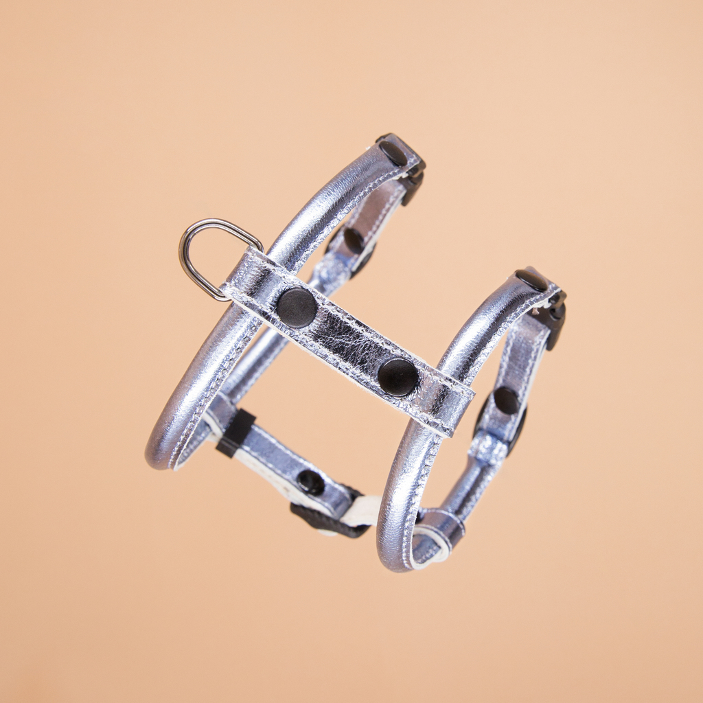 Кожаная шлейка круглого сечения для Шпица (померанского и немецкого) Серебро