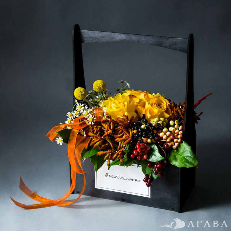 Янтарный бор